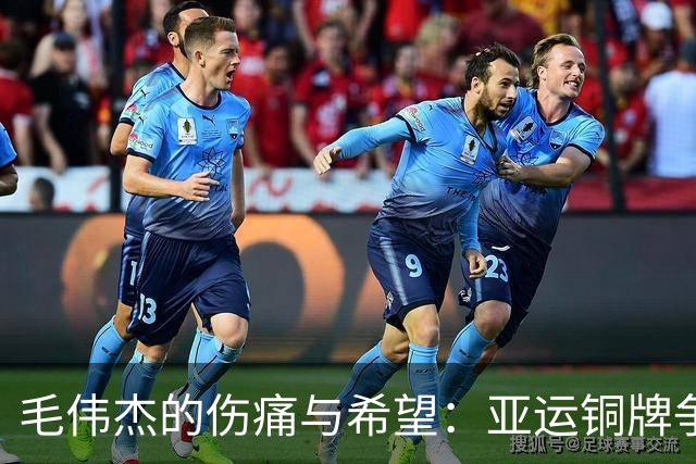 毛伟杰的伤痛与希望：亚运铜牌争夺战的新挑战